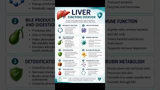 Learn Liver Functions Fast ⚡ #Medical#shorts