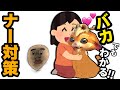 バカでもわかる！ナー対策