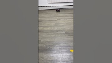 ECE5160-Lab8 Demo Video 2