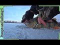 Прогулка на перволедье с БЛЕСНОЙ на Окуня  - Воронежская область - рыбалка зимой.