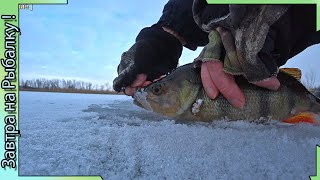 Прогулка на перволедье с БЛЕСНОЙ на Окуня  - Воронежская область - рыбалка зимой.