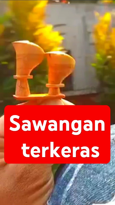 suara sawangan merpati terkeras #shorts #viralshorts #sawanganmerpati