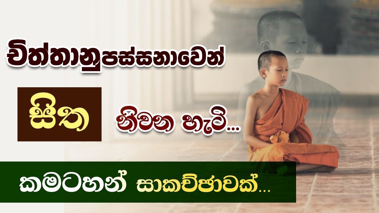 චිත්තානුපස්සනාව - සිත නිවන හැටි | වස්සාන සමය 2025 - විශේෂ ධර්ම සාකච්ඡා - 20 | Niwan Dakimu