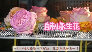 零失败烤箱干花第一次做就成功低成本制作永生花