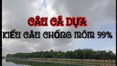 Câu Cá Dựa - Kiểu câu Chống móm những Ngày cá không đi ăn