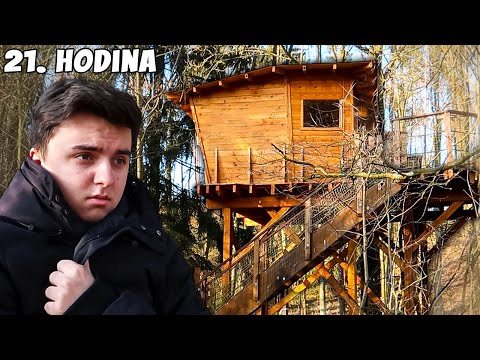 Video: Je borovice dobrá pro dům na stromě?