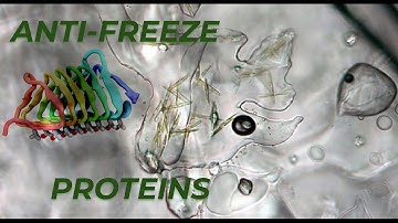 Chem 51C F20 Lec 16. Enols, Tautomerization and Enolates as Nucleophiles
