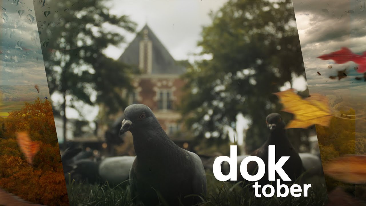 Nieuwe documentairemakers krijgen podium | FRYSLANDOK