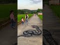 Incredible 3D Snake Drawing on Road | Viral Illusion Story #Urban Illusion Studios #funny #Shorts