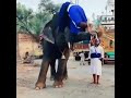 Nihang Singh Ji Status Video Shorts Shorts Nihang Singh Ji Status Video Shorts Shorts