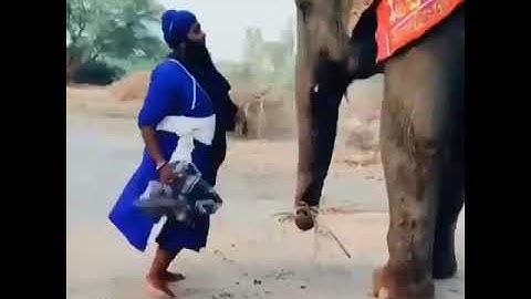 Nihang singh ji || status video || #shorts #shorts