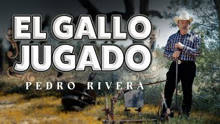 EL GALLO JUGADO - DON PEDRO RIVERA