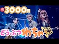 眠れない3000回の夜｜ALFEEを語り尽くす動物わちゃ（BGMの音量調整Ver.）