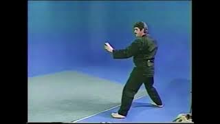 Kicking Set | Kenpo Karate | Mohamad Tabatabai