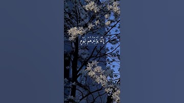 سورة ابراهيم💙| آية (٤٢) #قرآن #عبدالرحمن_مسعد #اجر_لي_ولك #اكتب_شي_تؤجر_عليه