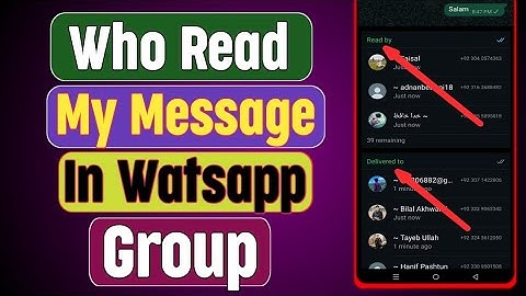 How To Check If Someone Read Your Message In WhatsApp Group?