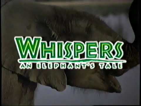 Disney's Whispers: An Elephant's Tale VHS Trailer/Ad - 2001