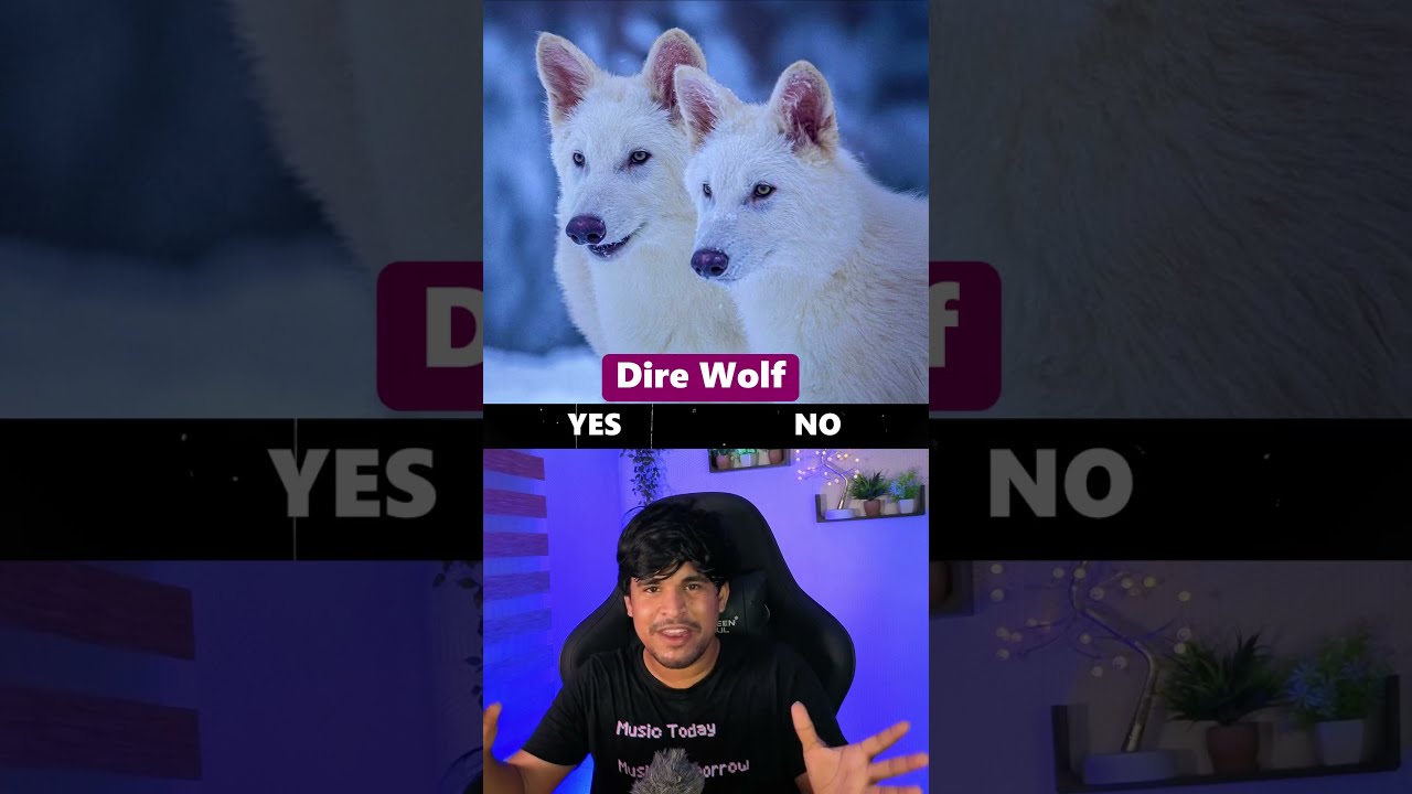 Should We Revive Extinct Animals 