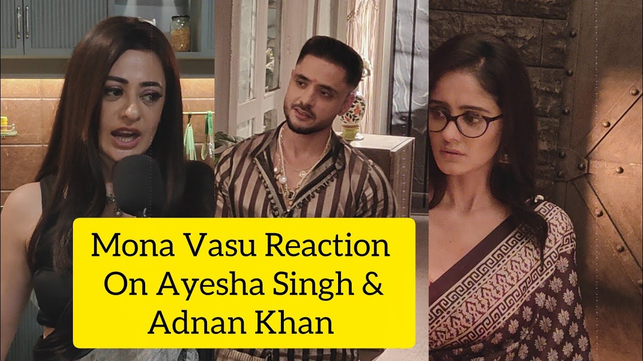 Mannat Serial Actress Monu Vasu Reaction On Ayesha Singh & Adnan Khan Marriage & Malal Divorce