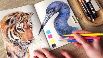 drawing wild animals with ONLY 4 colors | no music, no talking 🌜