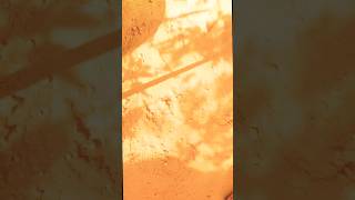 Red Dirt Powder Asmr #crunchycrumbles #oddlysatisfying #clay #reddirtasmr #reddirt #redmitti