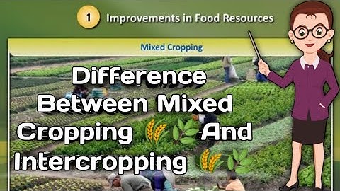 Mixed Cropping 🌾🌿And Intercrpping 🌾 Difference Between Mixed Cropping And Intercropping.🔥⚡NCERT BOOK