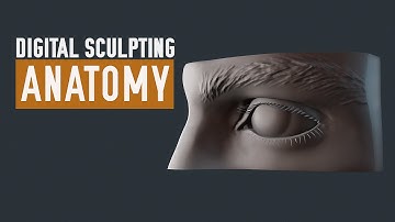 ZBrush Human Anatomy - Eyes