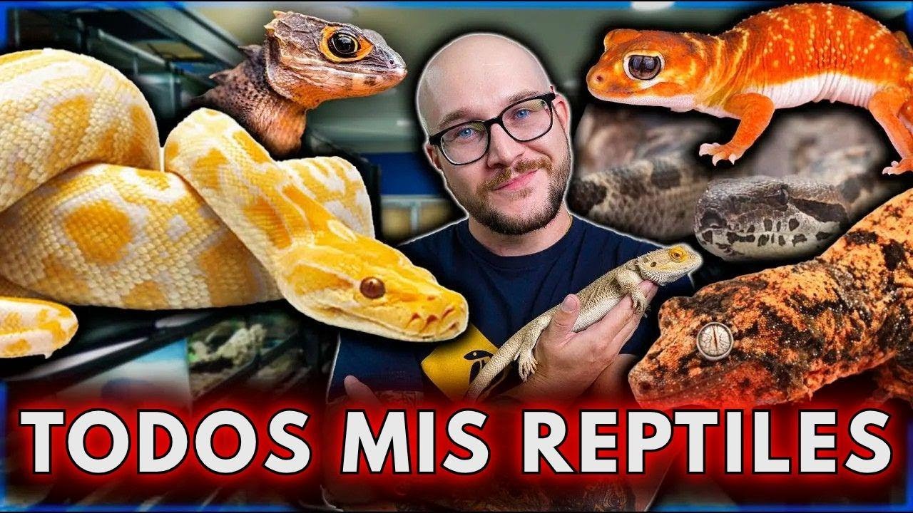 Recorrido por la Sala de Reptiles ¡Más de 100 reptiles!