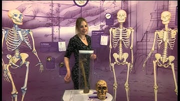 Daily Politics Soapbox: Alice Roberts on creationism (Feb 2014)