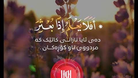 إِنَّ ٱلْإِنسَٰنَ لِرَبِّهِۦ لَكَنُودٌ ‌"|🎙القارئ عبدالرحمن مسعد