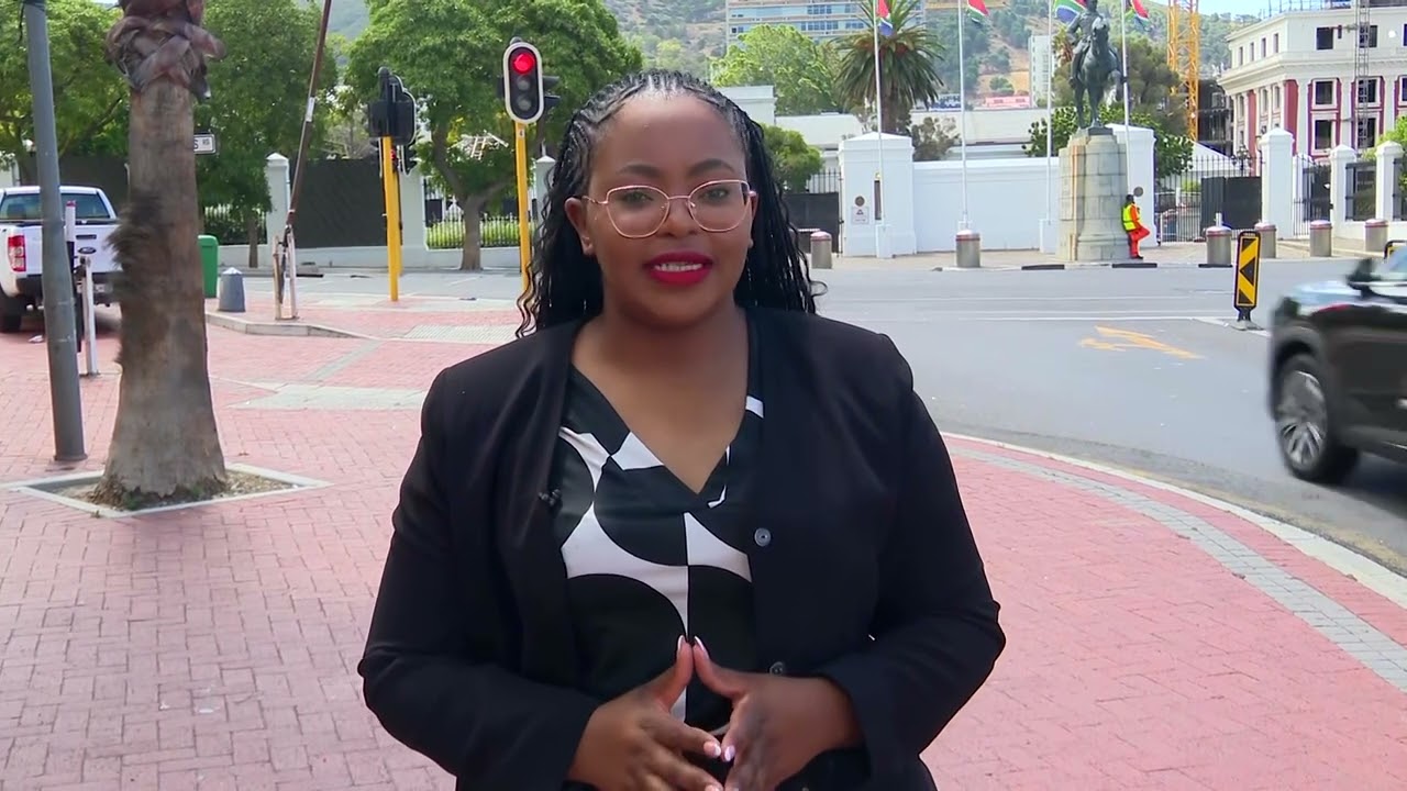 Ad hoc committee wrap with Zoleka Qodashe