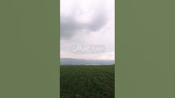 آيات من الذكر الحكيم 🌸 🤍 🌼 #quran #اكسبلور #video