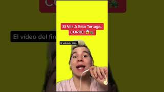 Si Ves A Esta Tortuga, Corre