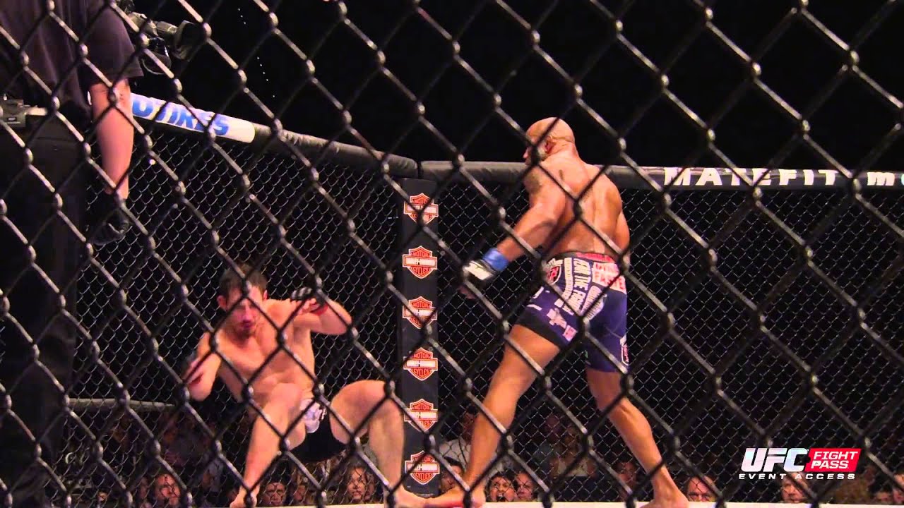UFC 178: Fight Motion