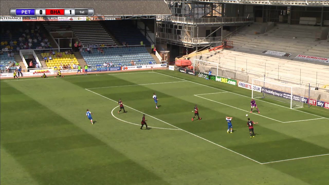 PETERBOROUGH V ALBION LIVE! seagulls photos