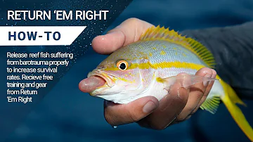 Return 'Em Right: Reef Fish with Barotrauma | FREE Descending Devices & Educational Course