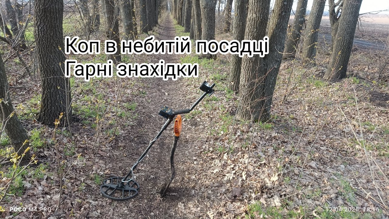 Розвідка нових місць.Знайшов не биту стежку .#metaldetecting#history #коллекционированиемонет