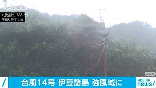 台風14号　暴風域なくなるも伊豆諸島は引き続き警戒(2020年10月11日)