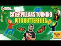 Caterpillars turning into butterflies  english literature ugcnet offline mode advantages