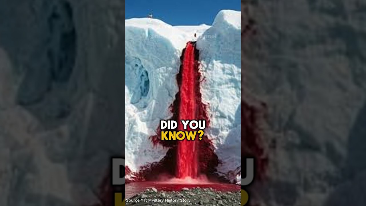 What's Behind Antarctica's BLOODY Waterfall?
