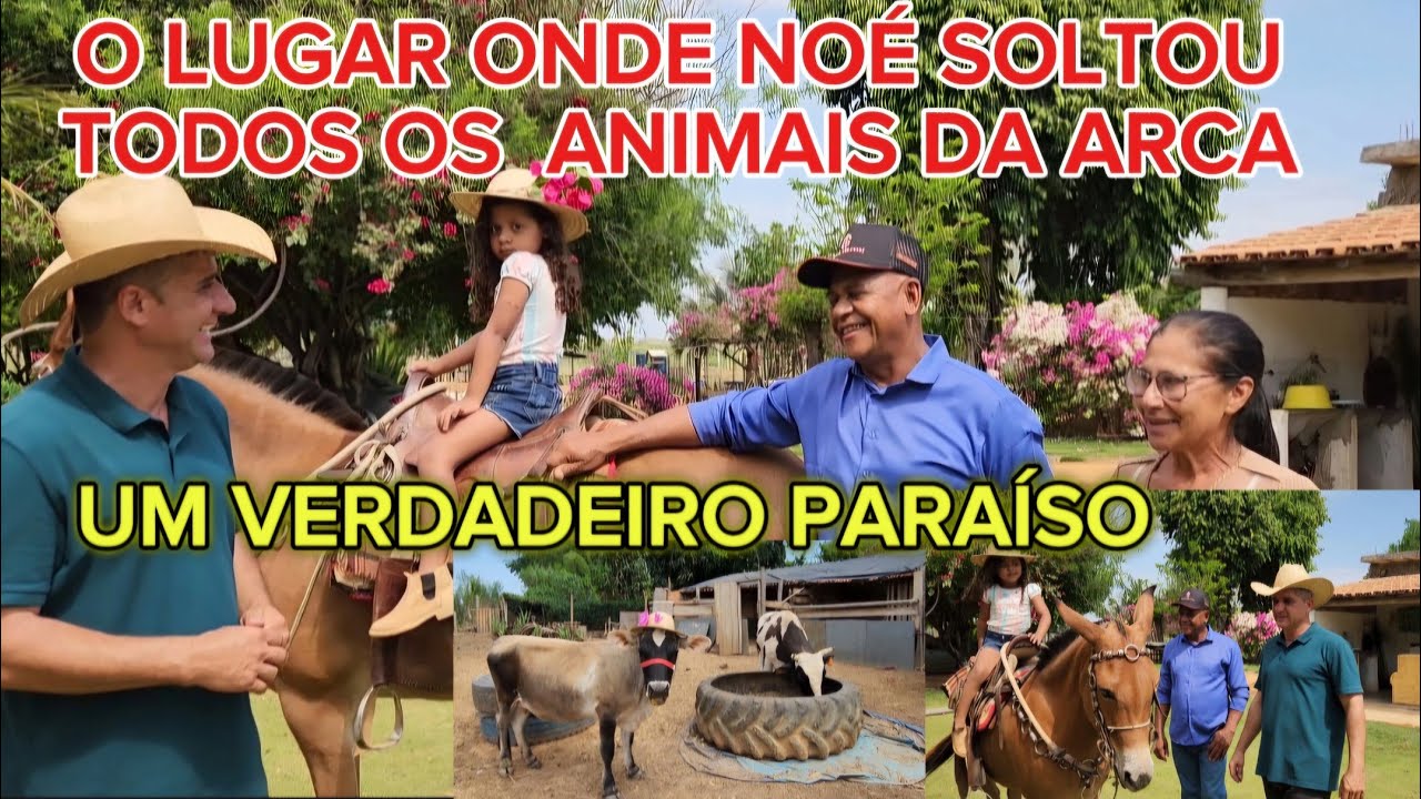 CONHEÇA O SÍTIO DE VALDECI & VÂNIA. NOSSOS VIZINHOS. JAÍBA-MG.