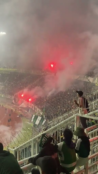 STORY WA PERSEBAYA SURABAYA