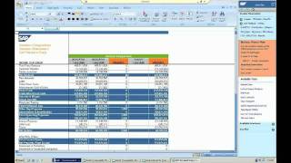 SAP BPC Planning demonstration PART 2 of 2