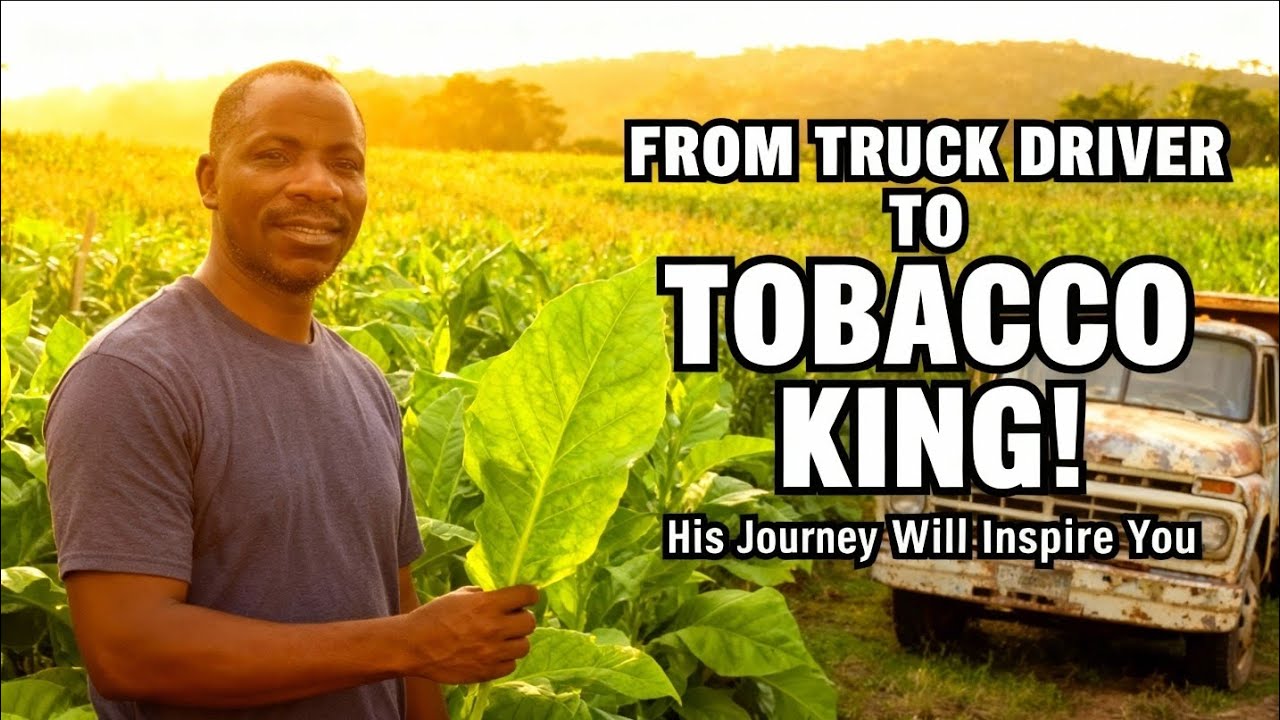 From Truck Driver to Tobacco King! 🌿🚛 His Inspiring Farming Journey