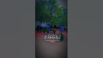 #سورة_الإخلاص #قرآن #المصحف #راحة_نفسية