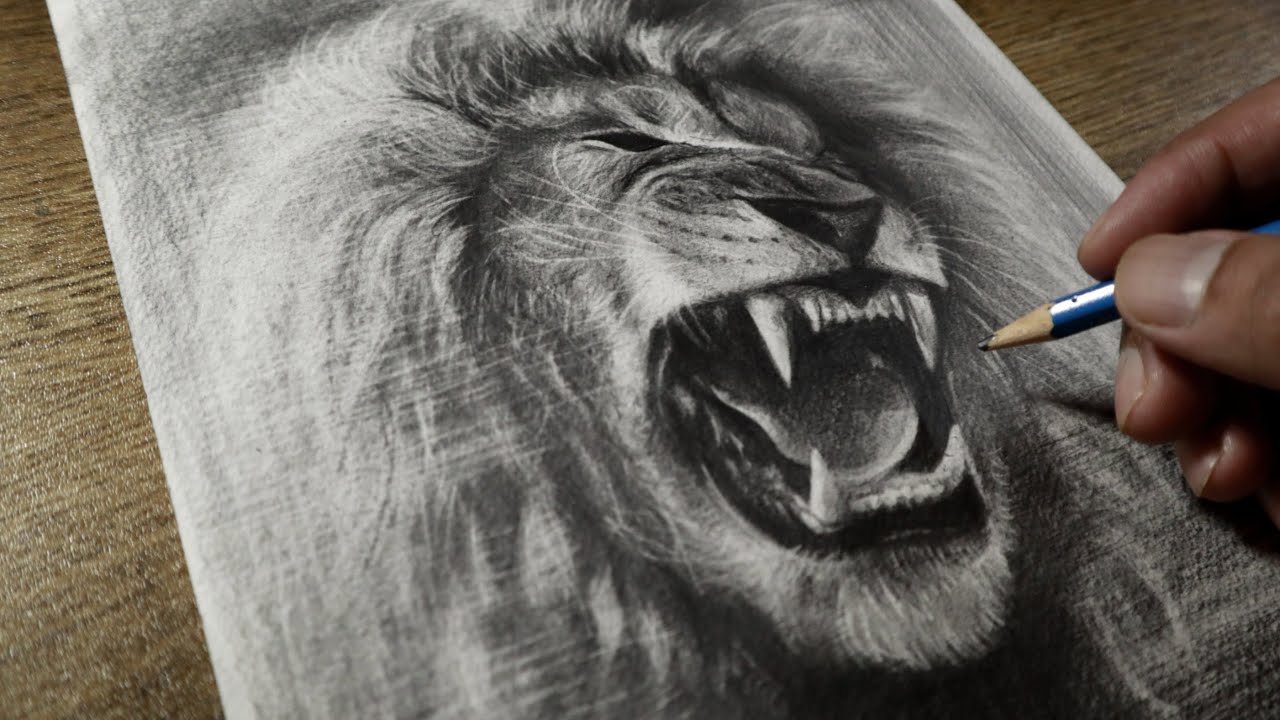 Lion roaring illustration hi-res stock photography and images - Alamy