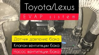 Toyota/Lexus EVAP sistem, ошибка системы вентиляции бака.