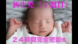 【生後１週間】新生児との暮らし【赤ちゃん】【大忙し？】Baby