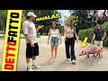 Dite a una Ragazza "CHE MAIALA" ma Intendete il Maiale dietro - [Detto Fatto Ep. 68] - t