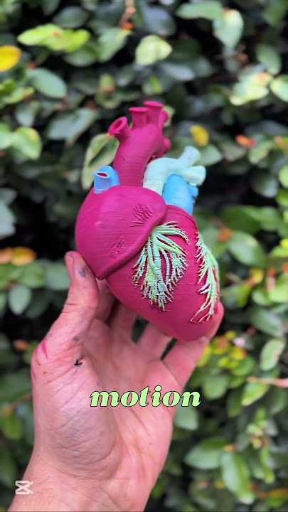 Corazon impreso en 3D y pintado en acrilicos #fyp #chericherilady #viral #trending #impresion3d